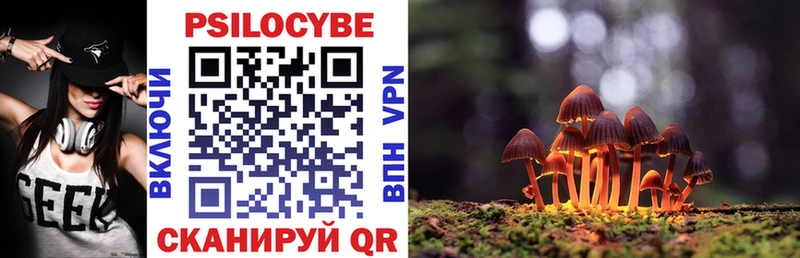 OMG как зайти  купить наркоту  Протвино  Галлюциногенные грибы мухоморы 