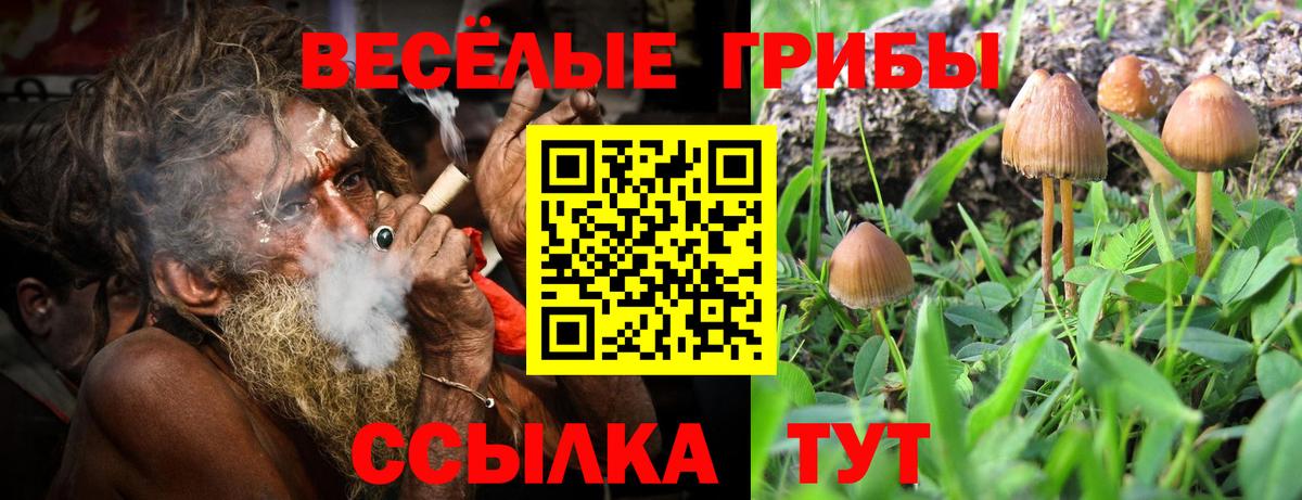 Протвино  Галлюциногенные грибы ЛСД  Вход с VPN 