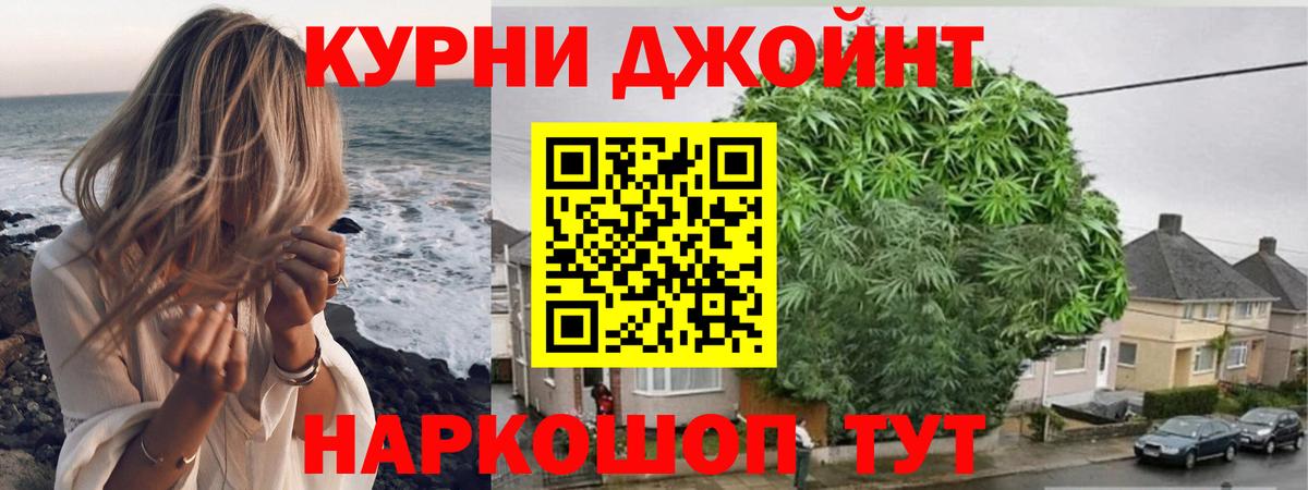 Каннабис сатива Протвино