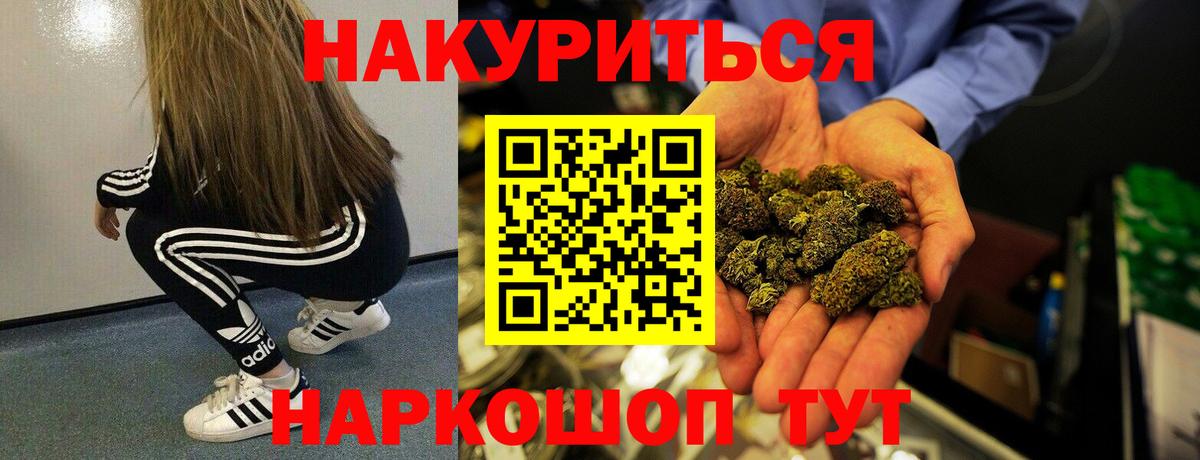 Конопля план  Вход с VPN  Конопля White Widow  Протвино 